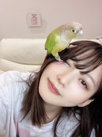 かわいいアンヨで空野の顔の上に立つゴン。