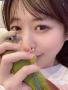 空野に握られるゴン。