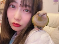 左から空野青空、ウロコインコのゴン。