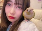 空野青空(でんぱ組.inc、ARCANA PROJECT)×インコのおつむ、ゴン、かめちゃん