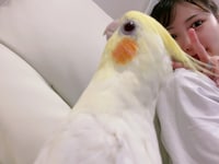 放鳥中のかめちゃんとピースする空野。