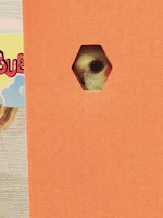 ダンボールハウスの空気穴からこちらを覗くかめちゃん。