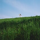 青葉市子、一発録りした新曲「meringue doll」本日配信