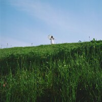 青葉市子「meringue doll」配信ジャケット