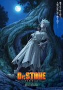 「Dr.STONE NEW WORLD」ビジュアル(c)米スタジオ・Boichi / 集英社・Dr.STONE製作委員会