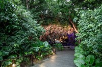 「ガンガラーの谷presnts 魂の音楽祭 マブイオト」会場イメージ