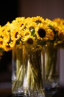 会場に飾られたひまわりの花。