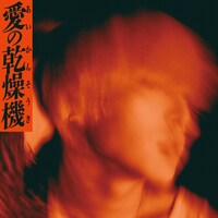 ヤングスキニー「愛の乾燥機」ジャケット