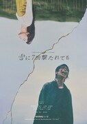 「雷に7回撃たれても」キービジュアル