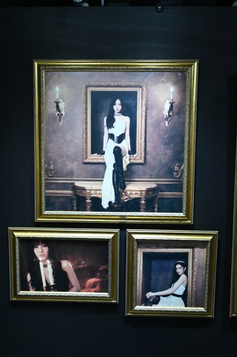 「MISAMO Gallery 『Masterpiece』」館内のフォト展示。