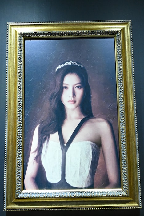 「MISAMO Gallery 『Masterpiece』」館内のフォト展示。