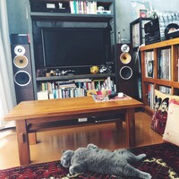 カミイショータ「インダハウス」配信ジャケット