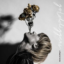 a flood of circle「ゴールド・ディガーズ」配信ジャケット