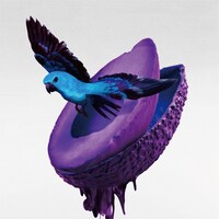 神はサイコロを振らない「心海」初回限定盤Aジャケット