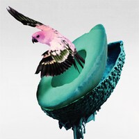 神はサイコロを振らない「心海」初回限定盤Bジャケット