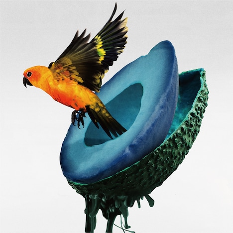 神はサイコロを振らない「心海」通常盤ジャケット