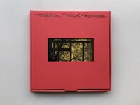 蓮沼執太「特別盤unpeople LPボックス」パッケージ