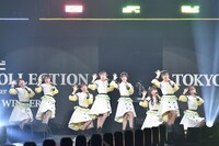 マシュマロラボ.