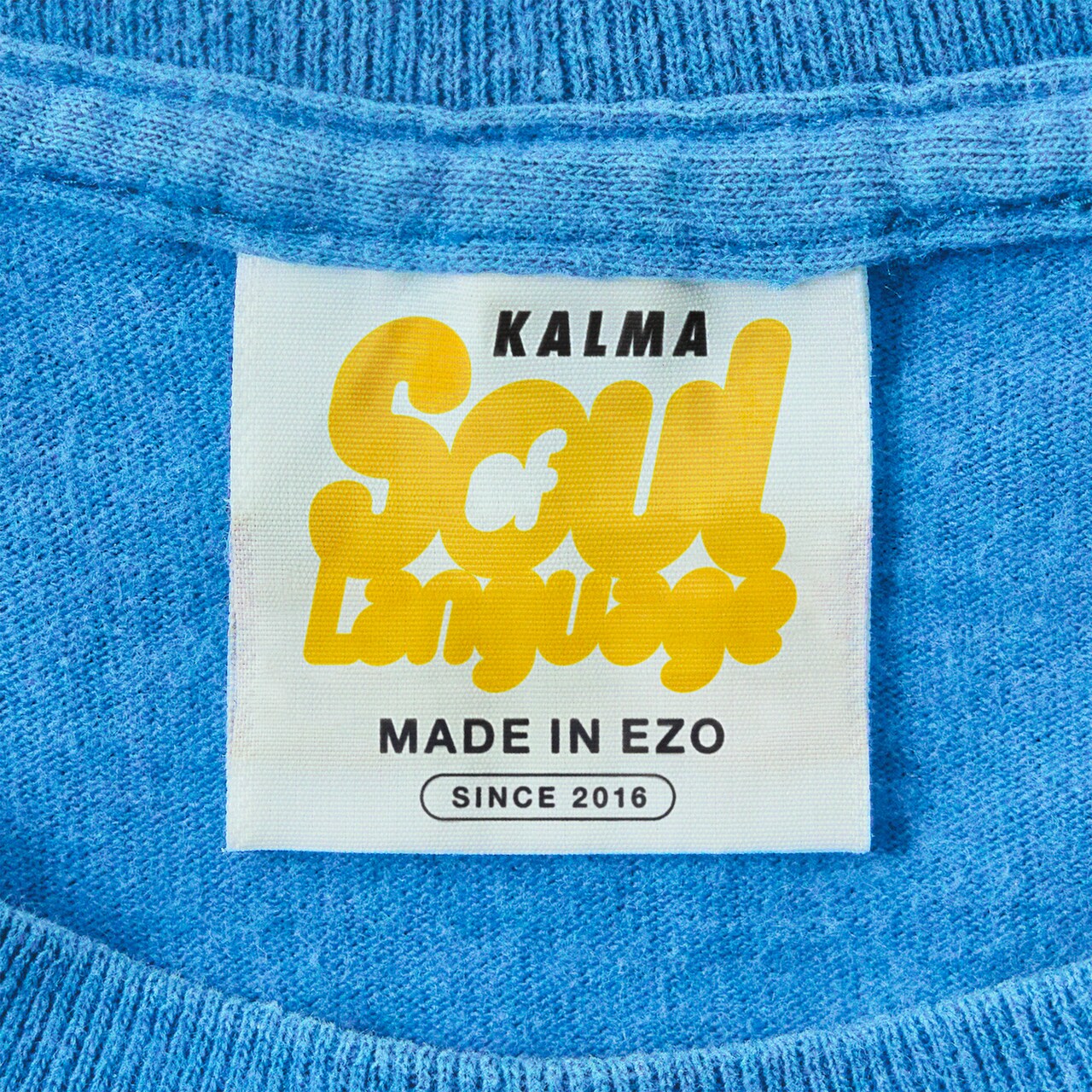 KALMA、本郷奏多＆大沢一菜主演ドラマのエンディング曲担当