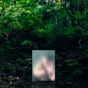 Kan Sano「Pマママ」配信ジャケット