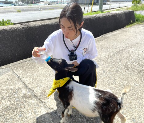 MEGUMIと子ヤギのモロコシ。(c)テレビ東京