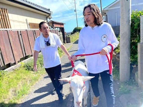 左から大悟（千鳥）、トータス松本（ウルフルズ）。(c)テレビ東京
