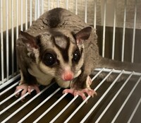 じっと佇む要。