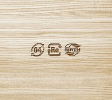 04 Limited Sazabys「Re-Birth」初回限定盤ジャケット