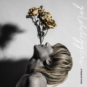 a flood of circle「ゴールド・ディガーズ」ジャケット