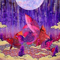 ドミコ「肴」ジャケット