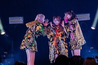 左から、なに、へそ、ねるん。（撮影：千佳）