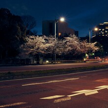 空気公団「何度大人になったって」配信ジャケット