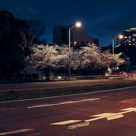 空気公団「何度大人になったって」配信ジャケット
