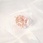 マルシィがストレートな“ラブソング”配信