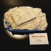 ルサンチマンにとって「十九」は大きな分岐点を示す数字