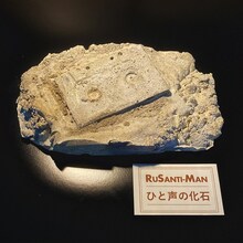 ルサンチマン「ひと声の化石 / rebury」ジャケット