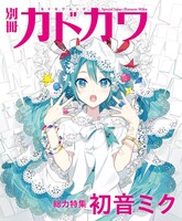 「別冊カドカワ 総力特集 初音ミク」より、iXimaによるイラスト。