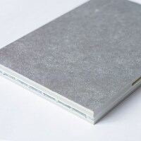 乙葉ミュージックフォトブック「silver lining」