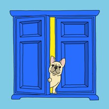 Minchanbaby＆藤城アンナ「青の扉」配信ジャケット