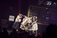 豆柴の大群（Photo by sotobayashi kenta）