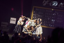 豆柴の大群（Photo by sotobayashi kenta）