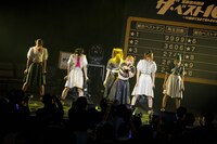 豆柴の大群（Photo by sotobayashi kenta）