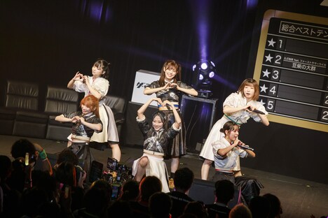 豆柴の大群（Photo by sotobayashi kenta）