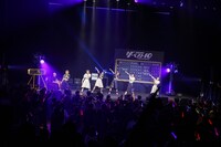 豆柴の大群（Photo by sotobayashi kenta）