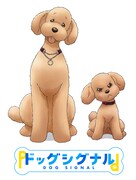 アニメ「ドッグシグナル」ティザービジュアル(c)みやうち沙矢/KADOKAWA/NHK・NEP