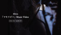 櫻坂46「マモリビト」ミュージックビデオより。