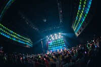 アンスリューム「すーぱーしゃいん!!!!!!」の様子。（撮影：真島洸）