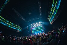 アンスリューム「すーぱーしゃいん!!!!!!」の様子。（撮影：真島洸）