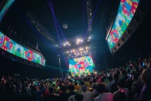 アンスリューム「すーぱーしゃいん!!!!!!」の様子。（撮影：真島洸）