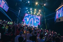 アンスリューム「すーぱーしゃいん!!!!!!」の様子。（撮影：真島洸）